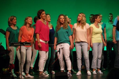 Zomerconcert2015 051