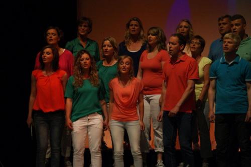 Zomerconcert2015 069