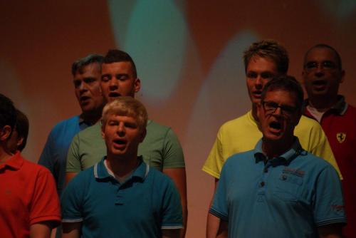 Zomerconcert2015 070