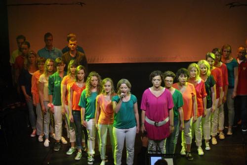 Zomerconcert2015 079